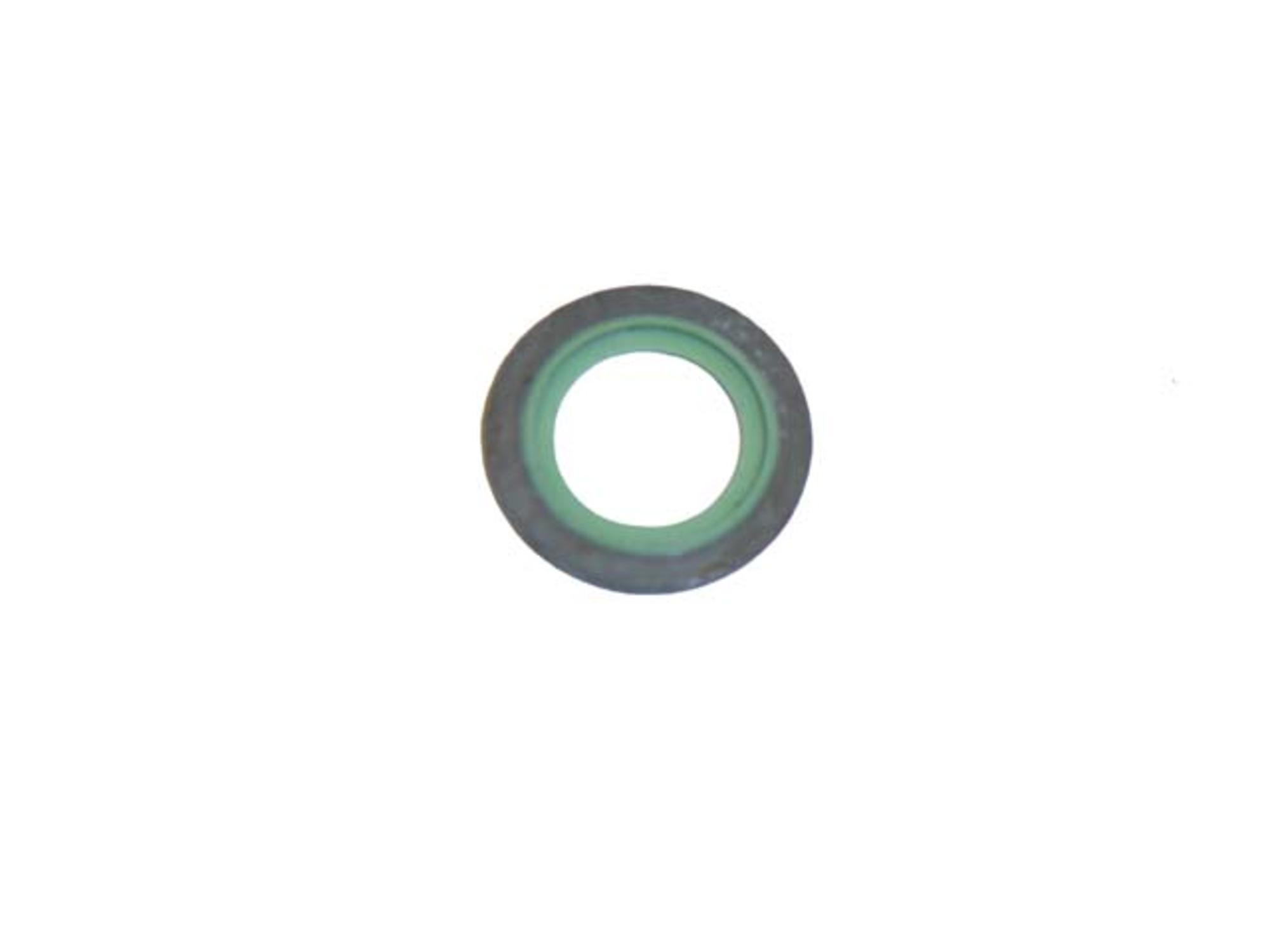 ARRUELA EMBORR. DA BOMBA  INJET. SC113/S-4