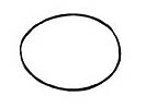 ANEL O. RING TAMPA DO ROTATIVO SC111=372985