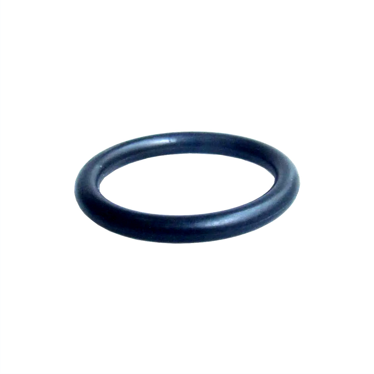 ANEL O.RING SC S-4
