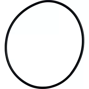 ANEL O.RING DO FILTRO ROTATIVO L76/SC112/3
